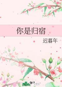 你是我的归宿演员