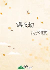 锦衣劫讲的什么