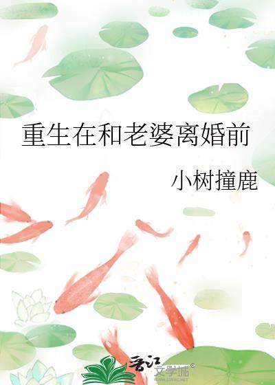 重生在和老婆离婚前免费阅读全文