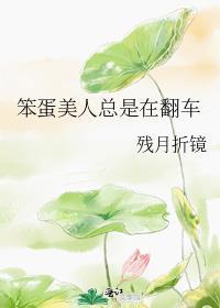 笨蛋美人总是在翻车作者残月折镜