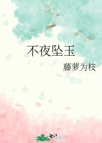 不夜坠玉男二是谁