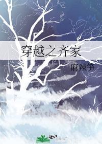 穿越之齐家全文免费阅读
