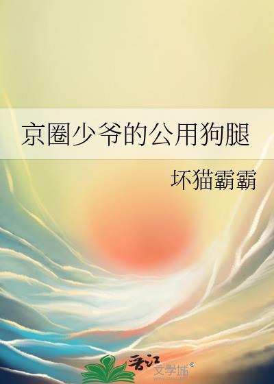 京圈小少爷什么意思