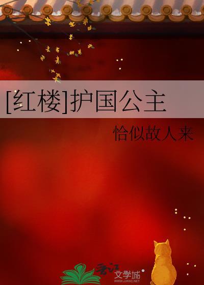 红楼梦护国长公主