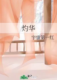 灼华录