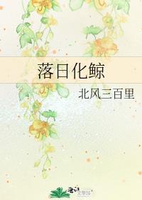 落日化鲸番外北风三百里