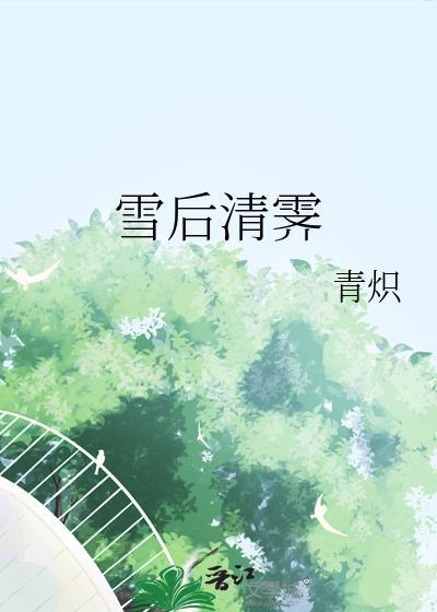 雪后清霁by青炽