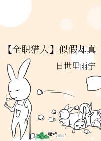 全职猎人受