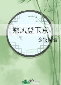 逆水寒手游乘风登玉京