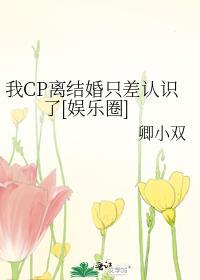 我的cp离结婚就差认识了