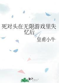 死对头在无限游戏里失忆后 皇甫小牛