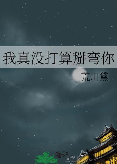 我真没打算掰弯你晋江