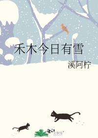 禾木今日有雪TXT