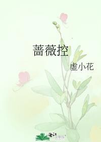 蔷薇控股上市了吗