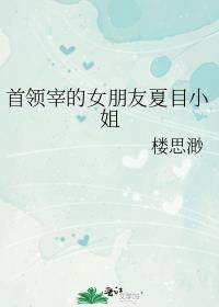 首领宰的女朋友夏目小姐乐文传说