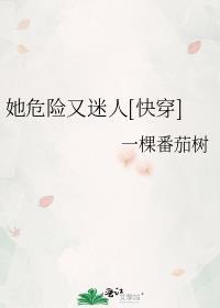 裙钗之下石阿措全文免费阅读