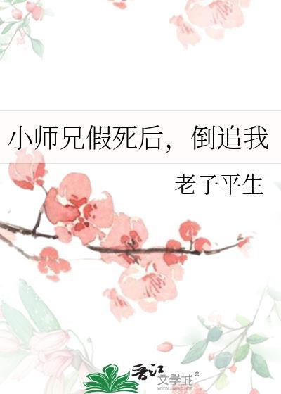 小师兄作者天无风雪