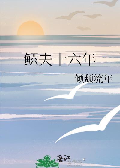 鳏夫十六年资源TXT
