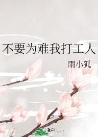 清穿之康熙家的小宠妃好看吗