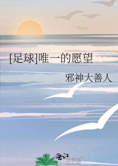 足球唯一的愿望txt电子版
