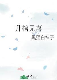 升棺见喜在线阅读