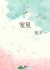 宠星 张不一