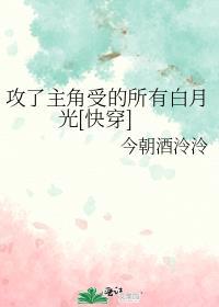 主角攻受怎么为我打起来了怎么办