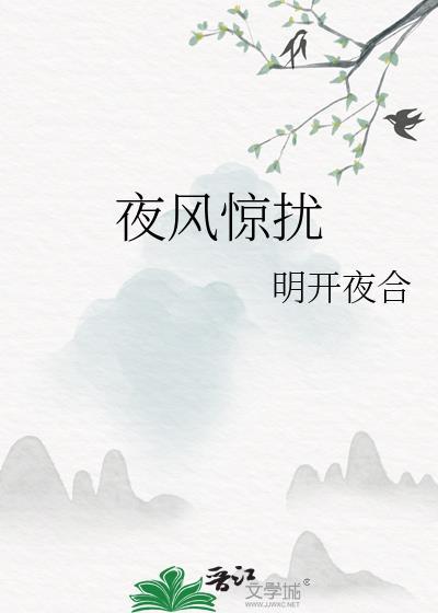 夜风惊扰txt百度免费