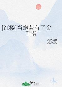 红楼炮灰攻略笔趣阁