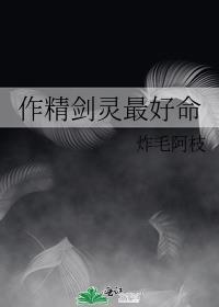 剑灵精炼装备如何使用