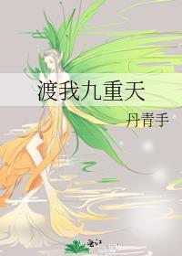 渡我九重天书评