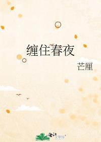 缠住春夜芒厘免费阅读