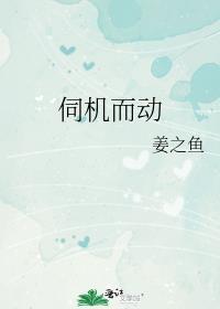 伺机而动怎么读