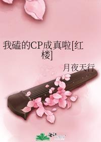我磕的cp成真啦txt