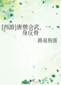 唐僧会武功的西游记动漫叫什么
