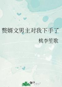 男主赘婿的玄幻