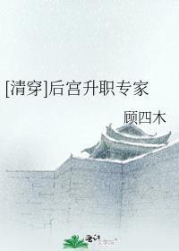 清穿后宫吃闲饭晋江