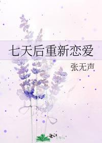 七天后重新恋爱 张无声