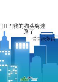 hp我的猫头鹰迷路了