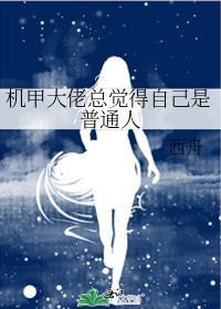 机甲感觉