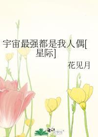 宇宙最强者是什么境界
