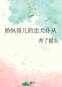 娇纵哥儿的忠犬仆从简介