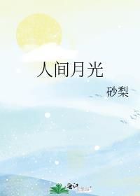 人间月光大结局