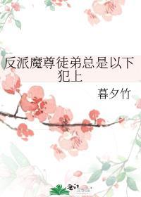 反派魔尊长得好