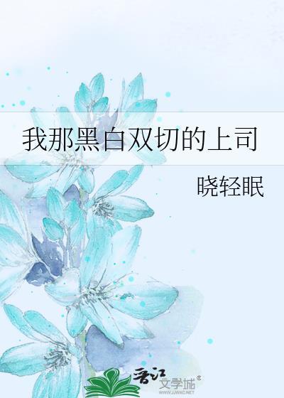 我那黑白双切的上司是谁原著