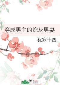 穿成男主的炮灰男妻犹寒十四洲