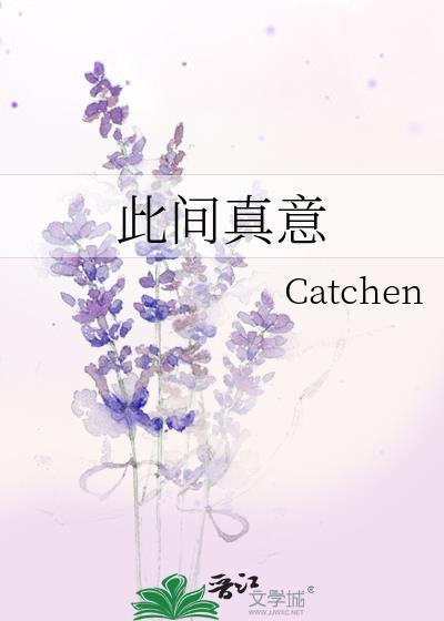 欲辨已忘言意思