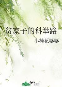 贫家子的科举路讲的什么