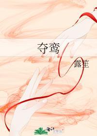 夺鸾露笙笔趣阁