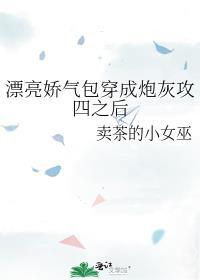 漂亮娇气包穿成炮灰攻四之后免费阅读